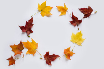 Autumn wreath of leaves on white background