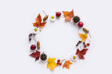 Autumn wreath of leaves, apples, flowers, berries on white background
