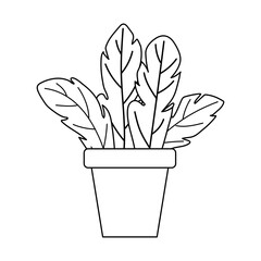 potted plant leaves decoration isolated design white background line style