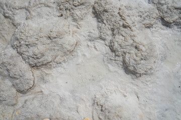 salt on a white salt lake