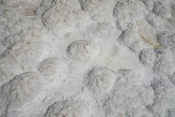 salt on a white salt lake