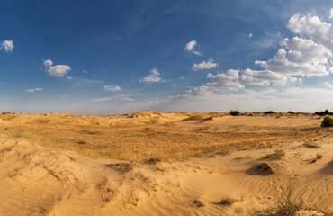 Beautiful desert landscape with dunes. Walk on a sunny day on the sands.