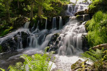 Fototapeta premium waterfall in the forest