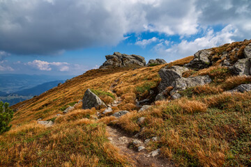 Beautiful landscape in the high carpathians. autumn in the mountains.
