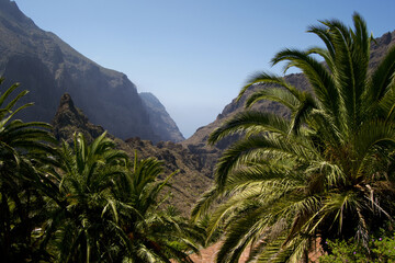 Fototapeta na wymiar Paisaje en la Isla de Tenerife