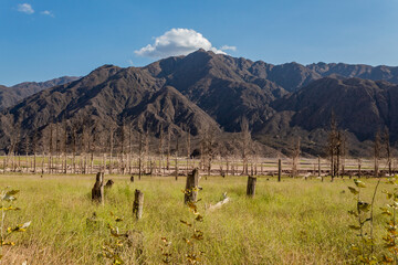 Wonderful Potrerillos mountain in autumn.