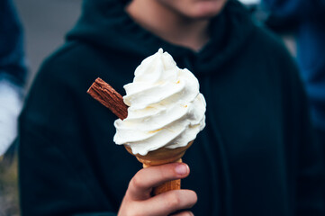 Soft vanilla ice cream with chocolate stick
