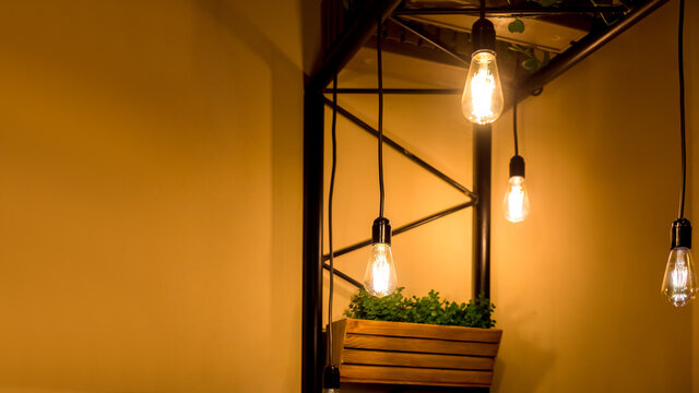 pendant edison bulbs in a cafe with wooden pots with green plants, vegetarian eco friendly interior style electric lighting close-up of glow details with copy space, nobody.