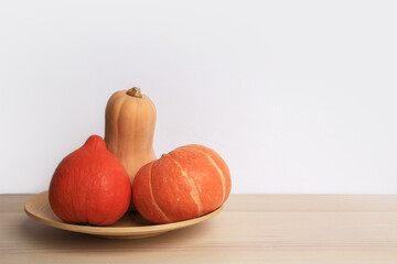 autumn harvest, bright ripe orange pumpkins for Halloween preparation on a wooden table against a white wall background, place for text