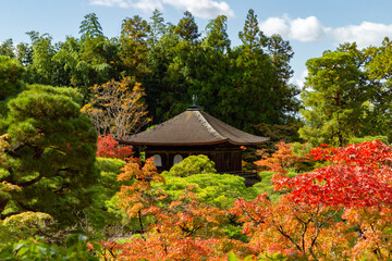 Temple surrounded of colored trees in Kyoto (Japan)
