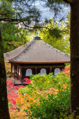 Temple surrounded of colored trees in Kyoto (Japan)