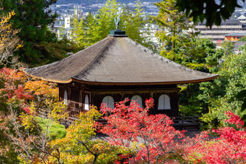 Temple surrounded of colored trees in Kyoto (Japan)