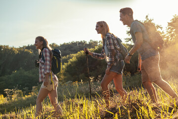 Group of friends hiking in nature.They walking trough forest on beautiful sunset.