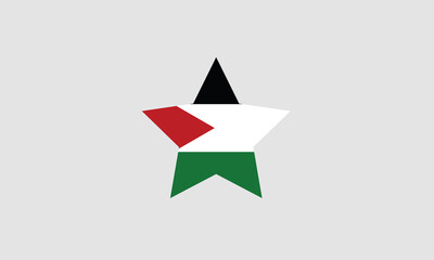 Palestine star flag vector illustration