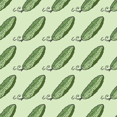 Seamless pattern with hand cucumbers. Light background for your kitchen. Vegetable background. Organic food. Vector illustration.