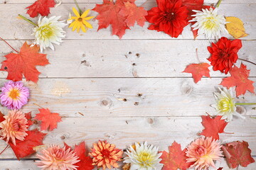 Obraz premium Autumn composition with seasonal leaves, pumpkins, apples on a pastel background, Minimal Happy Thanksgiving concept, postcard, selective focus., Flat lay, place for text
