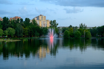 Fototapeta premium In the park 