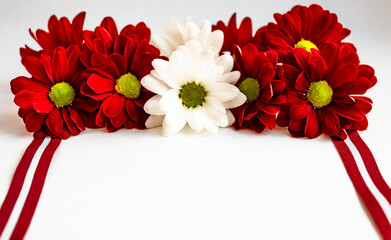 Red and white chrysanthemum flowers and ribbons in colors of Latvian flag on white background.