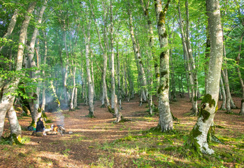 Girl sits by the camp fire surounded by trees in Tbilisi national park in Georgia. Relaxation in nature concept.