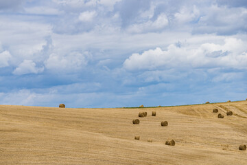 Field with Hay Rolls