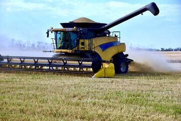 A combine is seen harvesting wheat in a Manitoba field