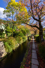 Fototapeta na wymiar Philosopher's walk next to the river in Kyoto (Japan)
