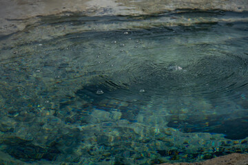 Shield Spring, Thermal features at Yellowstone National Park
