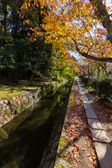 Philosopher's walk next to the river in Kyoto (Japan)