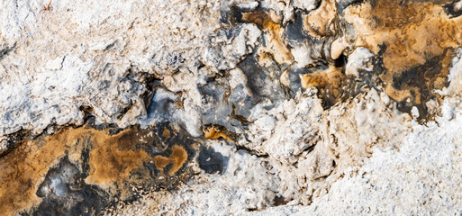 Thermophilic Bacterial mats at Yellowstone National Park