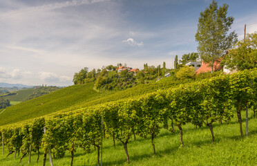 South Styria vineyards landscape at summer, near Gamlitz, Austria, Europe.  Tourist destination, travel spot.