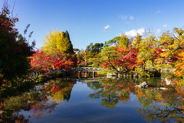Beautiful multi colored garden in Kyoto (Japan)