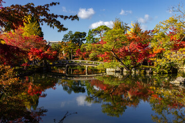 Beautiful multi colored garden in Kyoto (Japan)