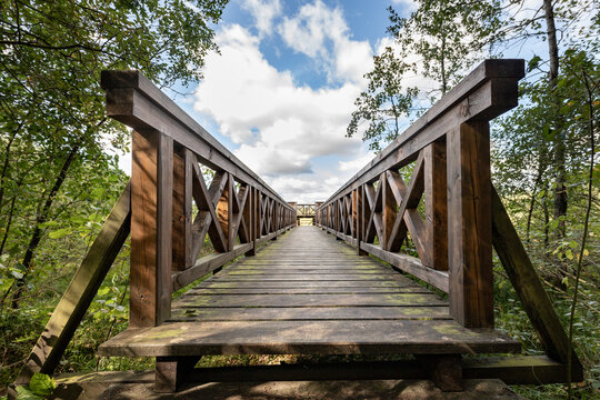Wooden bridge in the forest with a sturdy railing. A walking area for pedestrians.