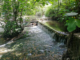 Wide shot of a fresh stream downing in calm