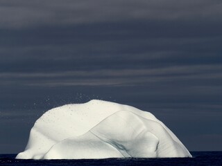 Un Iceberg et ses oiseaux dans le brouillard © Clara