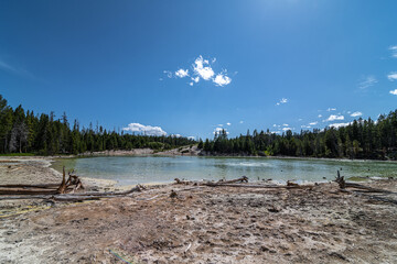 Sour Lake, Mud Volcano Area, Yellowstone National Park