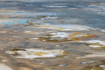 Porcelain Springs, Norris Geyser Basin, Yellowstone National Park