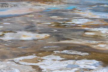 Porcelain Springs, Norris Geyser Basin, Yellowstone National Park
