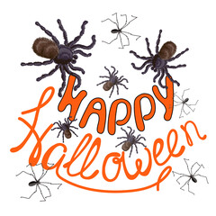 Halloween. Lettering. The text is drawn - Happy Halloween, spiders and tarantulas are drawn nearby. The drawing is drawn on a white background. Stock vector illustration.