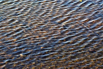 Abstrakt Hintergrund - Wellen, Wasser, Teich, Bad Waldsee