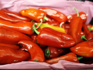 fresh and organic hot peppers