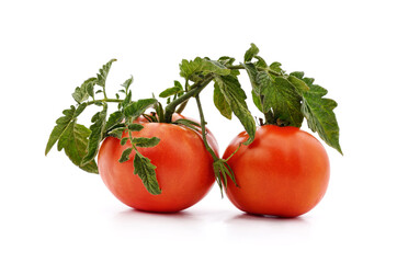 Red tomato vegetable.