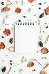 Autumn composition. Autumn leaves, notebook on white background. Autumn, fall concept. Flat lay, top view, copy space