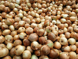 fresh and organic vitamin vegetables