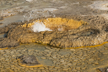 Aurum Geyser, Hydrothermal feature at Yellowstone National Park