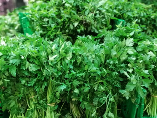 fresh and organic vitamin vegetables