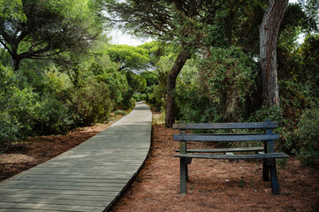 Fototapeta premium wooden plank path with bench to rest