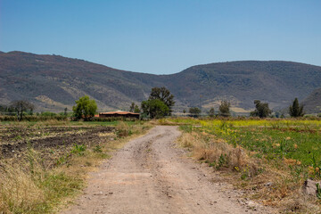 Camino rural de montañas