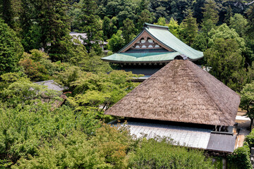 Rooftops of Engakuji Temple in Kamakura, Japan