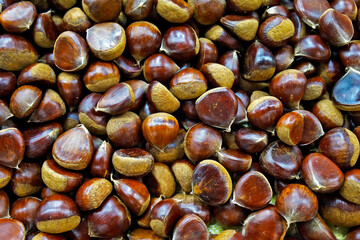 Raw chestnuts at the market, Belo Horizonte, Brazil 